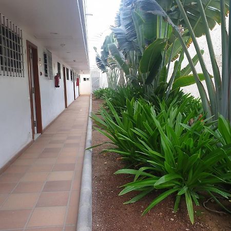 El Apartamento De Concha San Agustin  Ngoại thất bức ảnh